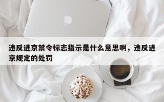 违反进京禁令标志指示是什么意思啊，违反进京规定的处罚